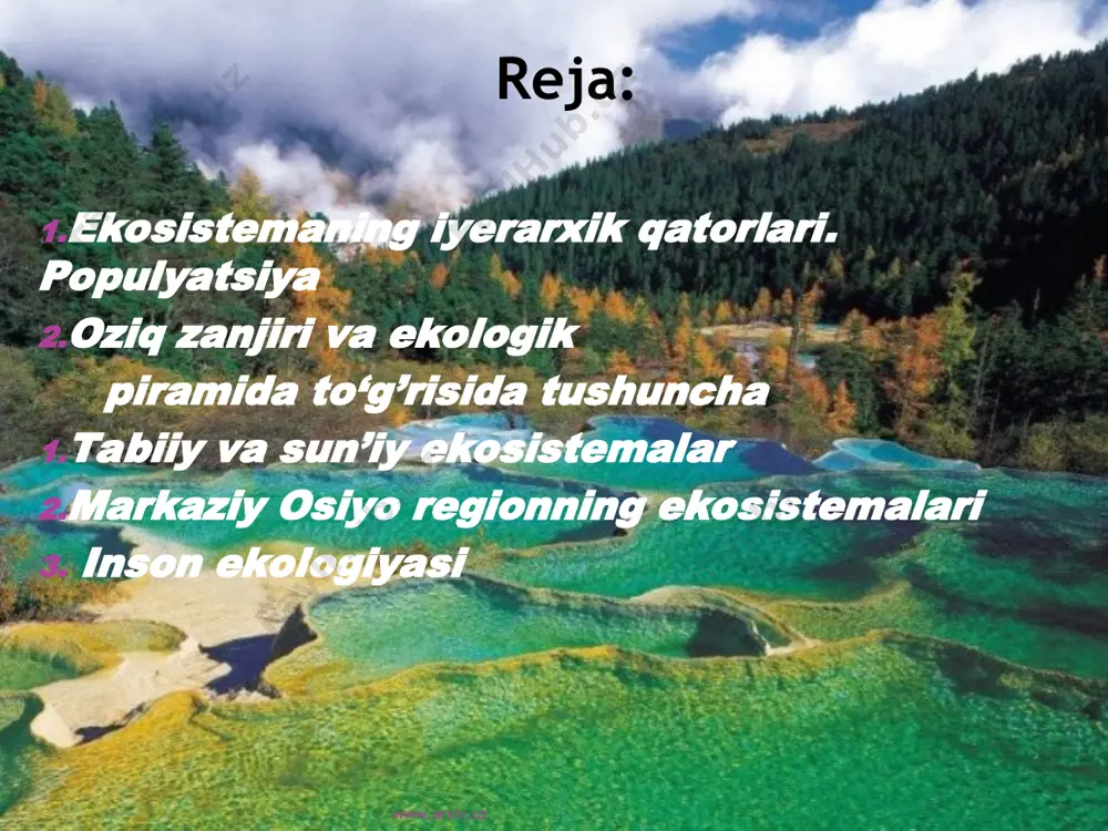 va makonda populyatsiya a’zolarining massasi; 3. tug’ulish – ma’lum vaqt ichida tur vakillaridan hosil bo’lgan yangi vakillari soni 4. o’lish – ma’lum vaqt ichida populyatsiya ichidagi o’lgan a’zolar darajasi 5. populyatsiyaning o’sishi-tug’ilishi va o’lish o’rtasidagi farq bo’lib, bu farq salbiy va ijobiy bo’lishi mumkin. 6. o’sish tezligi-ma’lum vaqt ichida populyatsiya a’zolari sonining o’rtacha o’sish tezligidir. www.arxiv.uz www.arxiv.uz populyatsiyani klassifikatsiyalashda bir necha prinsiplarga amal qilinadi, populyatsiyaning makonda tarqalishini n.p.naumov (1963) quyidagicha farqlaydi: elementlar (boshlang’ich soda), ekologik va jo’g’rofik populyatsiyalar. ularning qisqacha ta’rifi quyidagicha: 1.elementlarning populyatsiya – bu uncha katta bo’lmagan, bir xil joyda uchraydigan tur vakillarining yig’indisi. agar biogeotsenoz ichida yashash sharoiti har xil bo’lsa, populyatsiyalarning soni ko’p bo’ladi va ko’p sonli populyatsiyalar hosil qiladi. bir xil sharoitda bunday holat kam bo’ladi. 2. ekologik populyatsiya sodda, elementlar populyatsiyalar yig’indisidan hosil bo’ladi. ular ma’lum biogeotsenozlardan, tur ichidagi guruhlarda yuzaga keladi. masalan, olmaxonning “qarag’ay”, qoraqarag’ay, oqqarag’ay kabi populyatsiyalari uchraydi. lekin, bu populyatsiyalar bir-biridan …