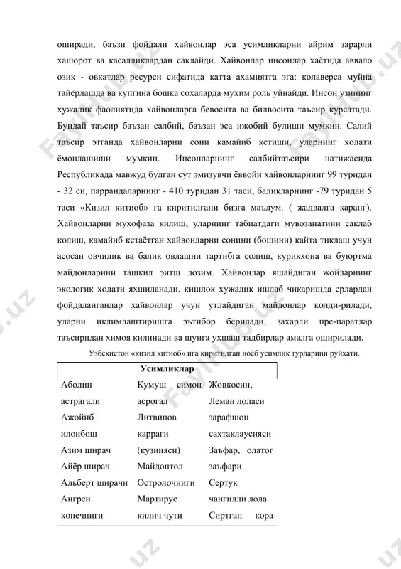 он липрача уз. чинигули калин тукли эремостахис кардош лола каттик бакалсимон сутлама кизил-яшил асроган корайган ширач кубба бошли кузиния курама неуроломаси нурота широчи оддий жилон жийда олижаноб островская олой троллиуси омон кара, виктор омон караси ок лола, туркистон лоласи пуфанак, бойсун ва бухоро пуфанаги жавгаза, фаргона лоласи жиззах карраги жовкосин, леман лоласи зарафшон сахтаклаусияси заъфар, олатог заъфари сертук чангилли лола сиртган кора мевали сиртган сохта куйик сутлама сунбул, мушук коврак сугд лоласи сугур ут, тилларанг сугур ут тукли лола тукли ширач турсимон мой караган тошерар неуроламаси тянъ-шан марвараги туркистон зулофияси улугбек скабиозаси федченко липидолофаси попов аулокоспермуми ок гулли ширач пуфак симон ширачи сертук телария северцов моголтавияси хисор бодоми хисор дионияси чимён тулки куйуги чимён лоласи чинор, шарк чинори чинигул, уз. чини гули узбекистон «кизил китобига» киритилган ноёб хайвон турларининг руйхати хайвонлар сут эмизувчилар гепард, коплон коплон коракуйрук, жайрон коракулок кунгир айик ирбис кук сугур катта шамшапалак устюрткуйи, аркал хон гул …