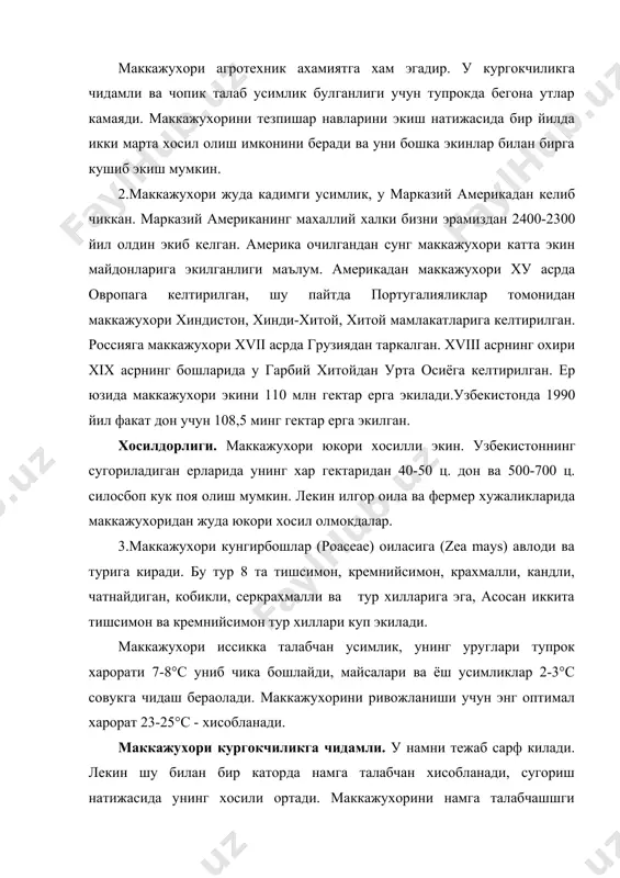 килиш даврида ортади. шу даврда уни тез-тез сугориб туриш лозим. маккажухорининг транспирация коэффициенти 230-370. маккажухори киска кун-ёругсевар усимлик. маккажухори хар кандай тупрокда хам усаолади, лекин унумдор, бегона утлардан тоза булган ерларда у яхши усади. одатда сута рувакга нисбатан 2-3 кун кейин гуллайди. маккажухори четдан чангланувчи усимлик. шунинг учун уни сунъий равишда хам чанглантариш мумкин. маккажухори уруглангандан сунг 15-20 кун утгач сут ва 22-25 кун утгач мум пишиш даври бошланади ва ундан 5-10 кун утгач дон тула пишиб етилади. маккажухорини усув даври унинг навига караб 91-140 кунни ташкил килади. узбекистонда узбекистон-361, амв,узбекистон-601, перекоп-тв, узбекистон-100 ва хорижий навлардан авизо, бриллиант, илка, тема, фигаро ва бошка навлар экилмокда. 4.маккажухори ер танламайди. уни хар кандай экиндан бушаган ерга экиш мумкин. маккажухорига гуза, донли ва айникса дон-дуккакли усимликлар яхши утмишдош экин хисобланади. маккажухорини маккажухоридан кейин ва уни такрорий экин сифатида экилганда хам яхши натижа беради. маккажухори юкори хосилли усимлик булганлиги учун тупрокдан жуда куп озик …