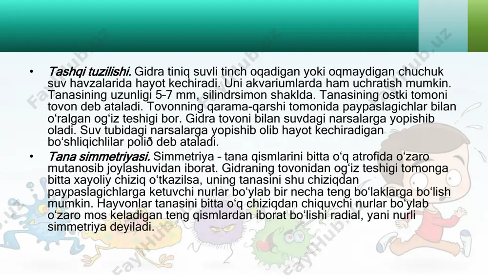 chuchuk suv gidrasi - Page 4
