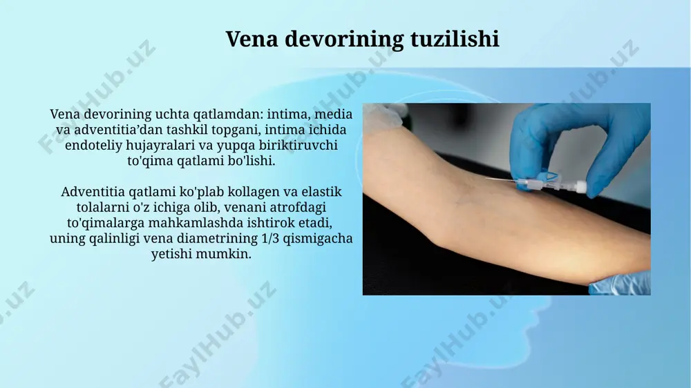 larining sistemasi valvulalar (klapanlar)ga ega bo'lib, ular qonning teskari yo'nalishda oqishini oldini oladi va qon oqimining bir tomonlama harakatini ta'minlaydi, bu esa taxminan 1-2 mm hg bosim farqini hosil qiladi. vena tizimining davolash usullari jarrohlik amaliyotlari, masalan, vena varikozini olib tashlash (flebektomiya) yoki endovenoz lazer terapiyasi (evlt), og'ir vena kasalliklarida, konservativ davolash samarasiz bo'lganda qo'llaniladi va taxminan 90% muvaffaqiyat darajasiga ega. venalardagi tromboz (qon quyqalari)ni davolash uchun antikoagulyantlar (masalan, geparin, varfarin) buyuriladi, bu qon quyqalasining kengayishini oldini oladi va 60-70% hollarda tromboemboliyani oldini oladi. qorin bo'shlig'i venalari qorin bo'shlig'i venalarining asosiy funksiyasi ovqat hazm qilish organlaridan, taloqdan va boshqa organlardan qonni yig'ib, jigarga yetkazishdir, bu detoksifikatsiya va metabolizm uchun muhimdir. qorin bo'shlig'i venalari jigar darvozasi venasi (vena portae) orqali jigarga qon olib keladi va bu vena 3 ta asosiy venadan – mezenterial, lienal va gastrik venalardan hosil bo'ladi. e'tiboringiz uchun rahmat @taqdimot_robot image2.jpg image3.jpg image4.jpg image5.jpg image6.jpg image7.jpg image8.jpg image9.jpg …