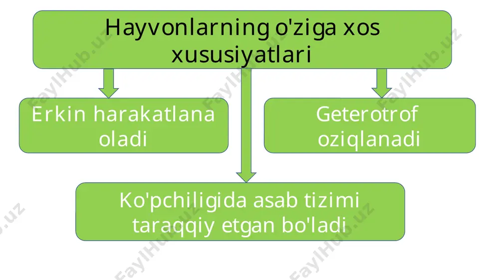 hayvonlarning tabiatdagi ahamiyati - Page 2