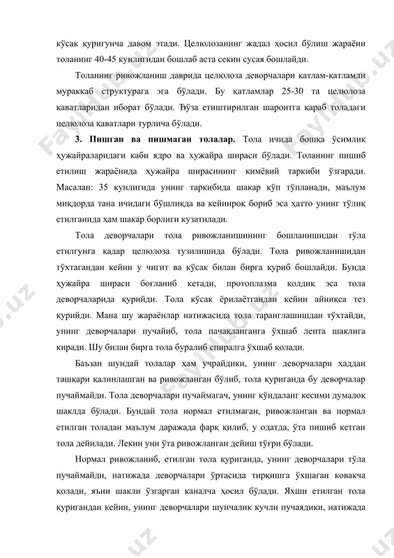 ики, натижада деворчаларининг ички томони бир-бирига зич тегиб, каналча бутунлай йўқ бўлиб кетади. қуриган тола ичида ковак (тирқиш) нинг бўлиши, толаларни бўяшда, амалий жиҳатдан катта аҳамиятга эга. яхши етилиб пишган тола ялтироқ бўлади, хомлари эса ялтирамайди. ҳар бир чигитни унинг толалари билан бирга чигитли пахта ёки летучка дейилади. летучка кўсак чаноғида жой тор бўлганлигидан ҳар бирининг толаси ривожланиш жараёнида қисилиб, буралиб, букилиб бир-бири ва ёнидаги летучка толаси билан чалкашиб кетади. 4. ўлик толалар ва уларнинг пайдо бўлиши сабаблари. нормал ривожланган кўсакнинг баъзи чаноқларидаги айрим толалар яхши ривожланмаган бўлиши мумкин. толаларнинг меъёрида ривожланмаслиги тугунчадаги айрим уруғкуртакларнинг уруғланиб қолиши натижасида содир бўлади. тола асосан гул очилган кундан бошлаб ривожланади. лекин шу вақтда уруғланган уруғкуртак ҳамда ундаги тола ривожланишга киришганда, уруғланмаган уруғкуртак ва ундан ўса бошлаган тола ҳам ривожланишини давом эттириб, сўнгра тезда ривожланишдан тўхтайди ва нобуд бўлади. бундай ўлик уруғкуртак пахта қуриганда қисқа толада тугунча бўлиб қолади, буни майда ўлик дейилади. уруғкуртакнинг …