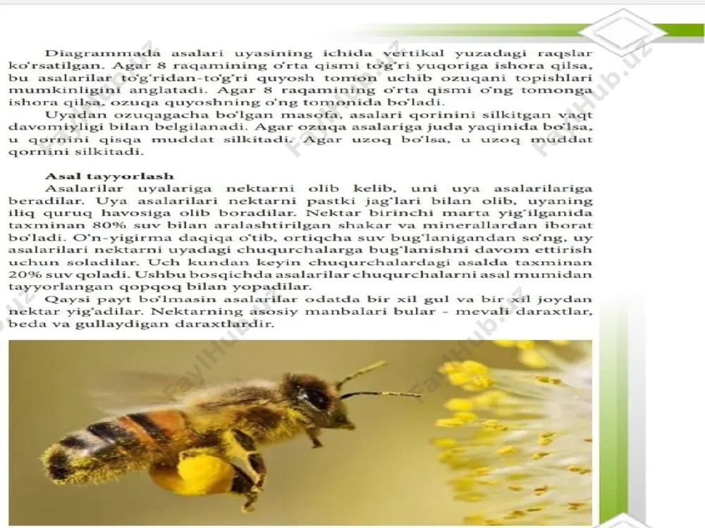 pisa bo’yicha mashq daftari - Page 3