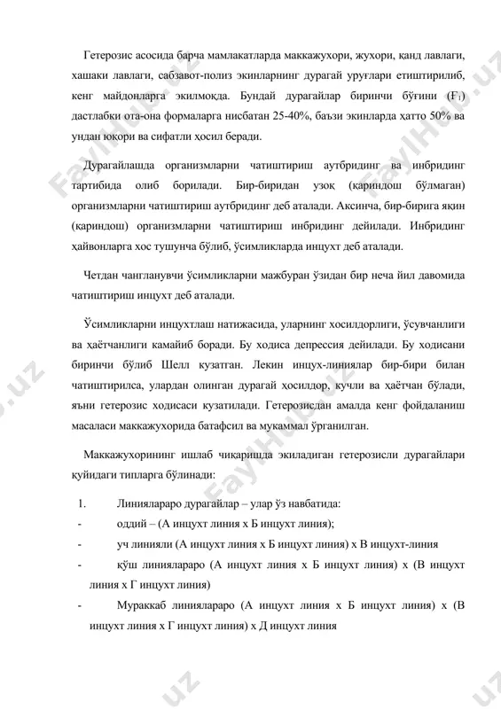 т деб аталади. ўсимликларни инцухтлаш натижасида, уларнинг хосилдорлиги, ўсувчанлиги ва ҳаётчанлиги камайиб боради. бу ходиса депрессия дейилади. бу ходисани биринчи бўлиб шелл кузатган. лекин инцух-линиялар бир-бири билан чатиштирилса, улардан олинган дурагай ҳосилдор, кучли ва ҳаётчан бўлади, яъни гетерозис ходисаси кузатилади. гетерозисдан амалда кенг фойдаланиш масаласи маккажухорида батафсил ва мукаммал ўрганилган. маккажухорининг ишлаб чиқаришда экиладиган гетерозисли дурагайлари қуйидаги типларга бўлинади: 1. линиялараро дурагайлар – улар ўз навбатида: · оддий – (а инцухт линия х б инцухт линия); · уч линияли (а инцухт линия х б инцухт линия) х в инцухт-линия · қўш линиялараро (а инцухт линия х б инцухт линия) х (в инцухт линия х г инцухт линия) · мураккаб линиялараро (а инцухт линия х б инцухт линия) х (в инцухт линия х г инцухт линия) х д инцухт линия 2. нав билан линияаро ёки линия билан наваро а нави х б инцухт линия; а инцухт линия х б нави; 3. …