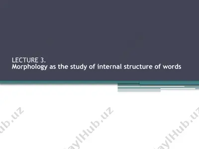 lecture 3. morphology as the study of internal structure of words — PPTX