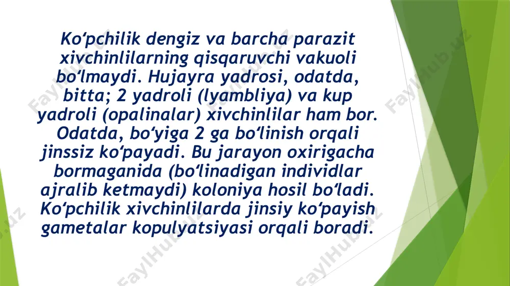 in, tripano­soma cruzi, joylashishga qarab, shakli har-xil bo’ladi.hujayraning ichida parazitlik qilgan tripanosoma xivchinsiz, intensiv ravishda ko’payib psevdosistalar hosil qiladi. parazitlar kasallik tarqatuvchi organizmida va sun’iy usulda o’stirilganda xivchinli shaklda bo’ladi.chagas kasalligining tarqatuvchisi qon so’radigan triatoma infestans qandala- sidir. tripanosomalar qandalalarning orqa ichagida yashaydi va 5-15 kun davomida taraqqiy yetadi. parazitlarni o’ziga bir marta yuqtirgan qandala butun umri davomida (2 yildan ortiq umr ko’radi) o’zida tripanosomalarni saqlaydi va odam uchun xavfli hisoblanadi. janubiy osiyo mamlakatlarida qoramollarda parazitlik qiluvchi trypano­soma brucei nagona kasalligi qo’zg’atadi. bu kasallikni so’nalar tarqatadi o’zbekiston qozog’iston turkmaniston cho’llarida tuya, ot, eshaklarda trypano­soma evansi parazitlik qilib og’ir suv kasalligini keltirib chiqaradi. buni ham so’nalar keltirib chiqaradi. otlarda trypano­soma equiperdum parazitlik qilib, kuyukish (qochirish) kasalligini keltirib chiqaradi. bu kasallik bir hayvondan ikkinchisiga jinsiy aloqa orqali o’tadi. eʼtiboringiz uchun rahmat image1.jpeg image2.jpeg /docprops/thumbnail.jpeg
