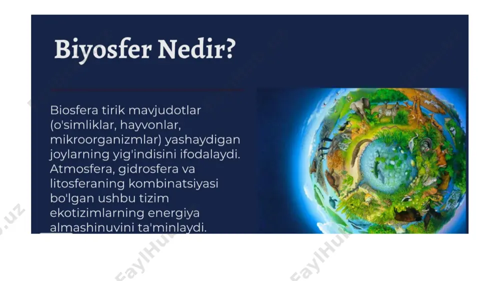 biosferada moddalar va energiyaning bioximik aylanma harakati - Page 4
