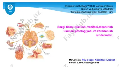 sezgi tizimi — PPTX