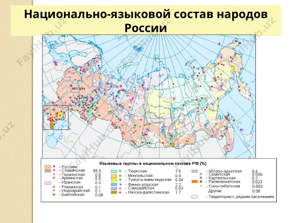 роль русского языка - Page 4