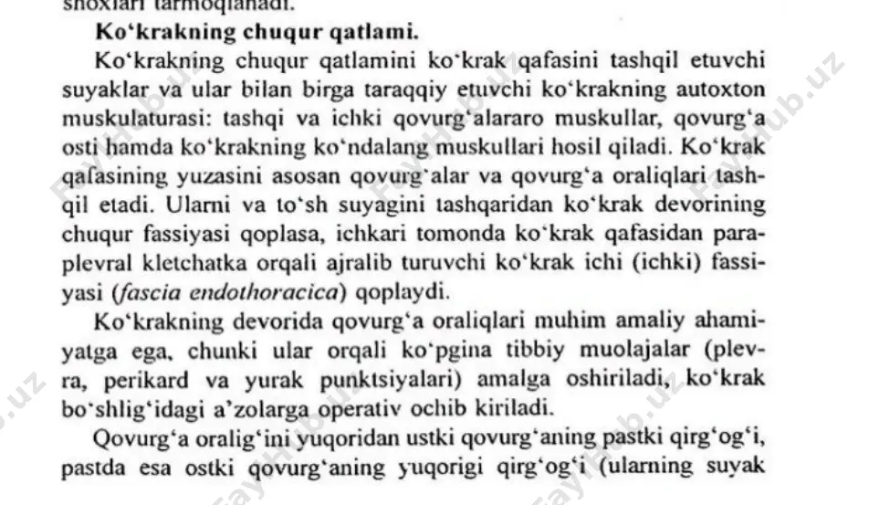 kalla chanog'i suyagining ichki asosi - Page 4