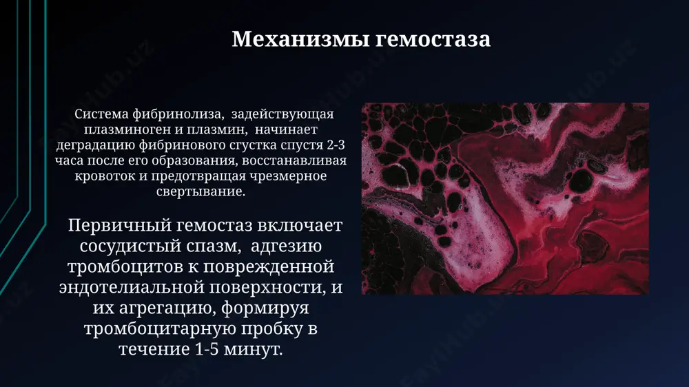 механизмы гемостаза и его патология - Page 4
