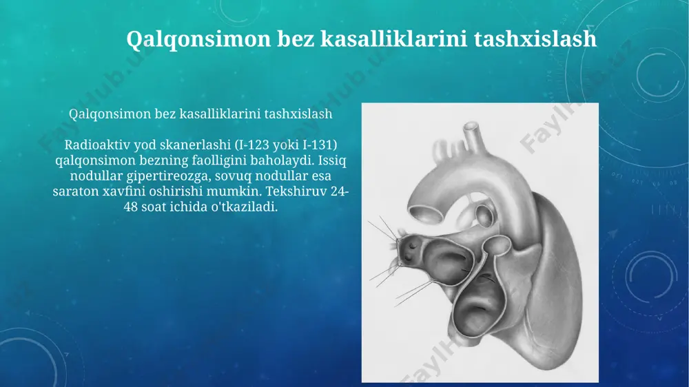 qalqonsimon bez faoliyati - Page 3