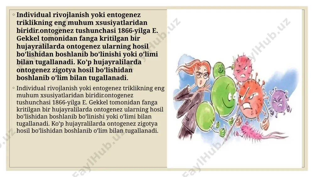 rli barcha organizmlar qaysidir bir turdagi immunitetga ega. bakteriyalar virusli infeksiyalardan himoya qiluvchi fermentlar koʻrinishidagi rudimentar immunitetga ega. boshqa sodda immun mexanizmlari qadimgi oʻsimliklar va hayvonlarda rivojlangan va ularning zamonaviy avlodlarigacha saqlanib kelmoqda. ushbu mexanizmlar fagotsitoz, defensin deb ataladigan antimikrob peptidlar va komplement tizimini oʻz ichiga oladi. jagʻli umurtqalilar, shu jumladan odamlar, yanada murakkab mudofaa mexanizmlariga, patogenlarni yanada samaraliroq aniqlashga adaptatsiya qilish qobiliyatiga ega. adaptiv (yoki orttirilgan) immunitet immunologik xotirani hosil qiladi, bu esa xuddi shu patogen bilan keyingi toʻqnashuvlarga kuchliroq javob berish imkonini beradi. shu kabi orttirilgan immunitet jarayoni emlashning asosini tashkil etadi. immun sistemasining disfunksiyasi autoimmun kasalliklar, yalligʻlanish kasalliklari va saratonga olib kelishi mumkin. immunitet tanqisligi immun sistemasi odatdagidan kuchsiz boʻlganida yuzaga keladi, natijada takroriy va hayot uchun xavfli infeksiyalar yuqishi mumkin. odamlarda immunitet tanqisligi ogʻir kombinatsiyalangan immunitet tanqisligi kabi irsiy kasallik, oiv / oits kabi orttirilgan kasalliklar yoki immunosupressiv dorilarni qoʻllash natijasida kuzatilishi mumkin. autoimmunitet giperaktiv immunitet …