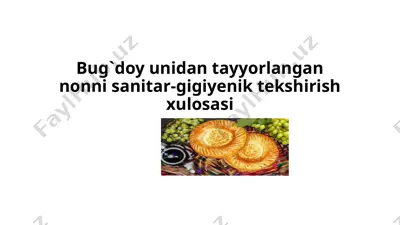 bug`doyunidantayyorlangannonnisanitar-gigiyeniktekshirishxulosasi — PPTX