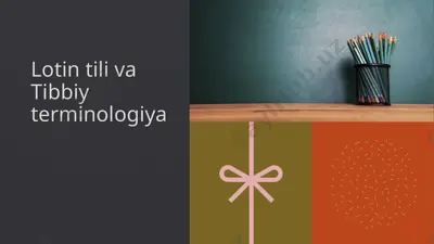 ot va uning grammatik kategoriyalari — PPTX