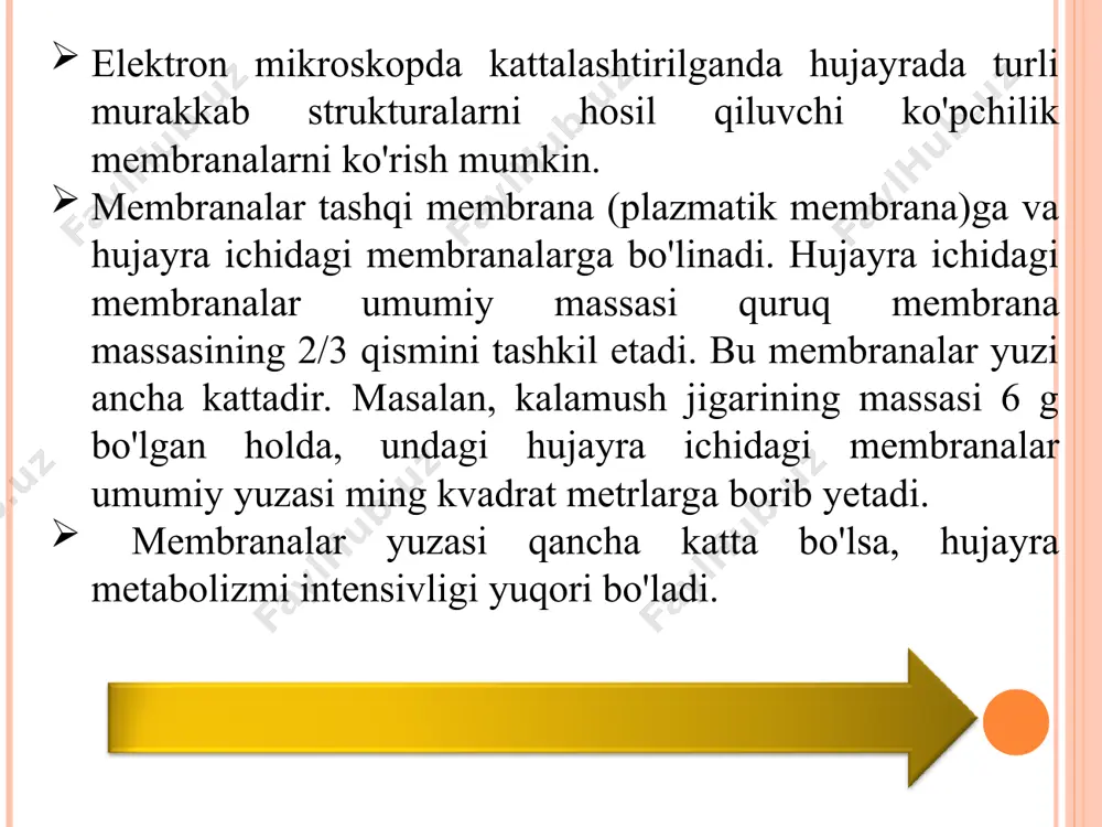 ffuzion ko‟chishi va bir qatlamdan ikkinchi qatlamga o‟tishi mumkin. ushbu ko‟chish tezliklari epr – hamda, fluoressent zondlar usullari yordamida o‟lchangan. e.coli hujayrasida lipid molekulasi 1 sekundda bir necha mikrometrga ko‟chishi mumkin. lateral diffuziya tezligi membranalarning lipid tarkibiga va haroratga kuchli bog‟liq. lipidlar flip-flop o‟tishi tezligi nisbatan kichik tezliklar bilan ro‟y beradi. masalan, eritrosit membranalarida zondlar bilan nishonlangan lipidlar sonining yarmi bir qatlamdan, ikkinchi qatlamga o‟tish vaqti 20 – 30 minutga teng bo‟lgan. membranalarda fazaviy o’tishlar tabiiy va sun‟iy membrana tizimlari ikki asosiy faza holatida bo’ladi : qattiq ikki o‟lchamli kristall (gel) yoki suyuq kristall (erigan) holatda bo‟lishi mumkin. asosiy faza o‟tishining harorati lipidlarning uglevodorod zanjirlari to‟yinmaganlig darajasiga va uzunliklariga bog‟liq. fazaviy o‟tish harorati zanjir uzunligi ortishi bilan oshadi lekin yog‟li kislotalar qoldiqlari to’yinmaganlik darajasi oshishi bilan kamayadi. tabiiy lipidlar yog‟ kislotali zanjirlari odatda to‟yinmagan bog‟larga ega. shuning uchun ko‟pchilik tabiiy membranalar uchun tf manfiy haroratlar sohasida yotadi, ya‟ni fiziologik sharoitda …