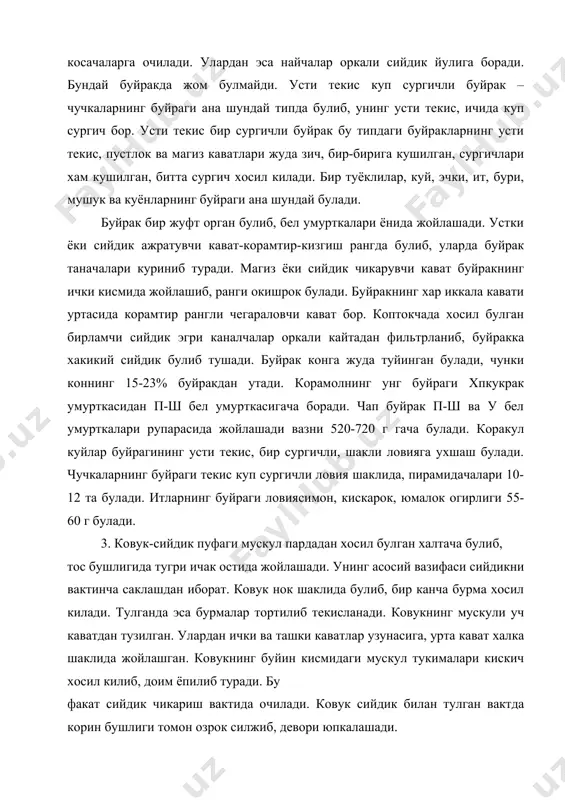 вукнинг буйин кисмидаги мускул тукималари кискич хосил килиб, доим ёпилиб туради. бу факат сийдик чикариш вактида очилади. ковук сийдик билан тулган вактда корин бушлиги томон озрок силжиб, девори юпкалашади. сийдик чикариш канали-ковукда тупланган сийдикни ташкарига чикариш учун хизмат килади. эркак хайвонларда бу канал сийдик-жинсий канали дейилади, чунки ундан сийдик хам, эркаклик жинсий хужайралари-сперма хам чикади. сийдик чикариш канали корамолларда 10-14 см, отларда 6-8 см булади. 4. бир хужайрали хайвонларда махсус айириш органлари булмайди, моддалар алмашинуви натижасида хосил булган махсулотлар бутун тана оркали диффуз холда ажралади. айириш найчалари эктодермадан пайдо булади ва протонефрит деб аталади. хайвон организми ривожланиши билан айириш органлари хам мураккаблашади ва тешикчалар кушилиб, хазм органининг орка кисмида класка тешиги хосил булади. эркак хайвонларнинг эгри каналчалари сийдикни олиб кетувчи умумий каналчалар билан кисман кушилиб уруг йулини хосил килади. нефридийлар ёнида кон томирлари тигиз нур шаклида жойлашиб, бирламчи копток хосил килади. нефридий каналчалари урчиш органларидан ажралган. айириш органлари хайвонот дунёсининг …