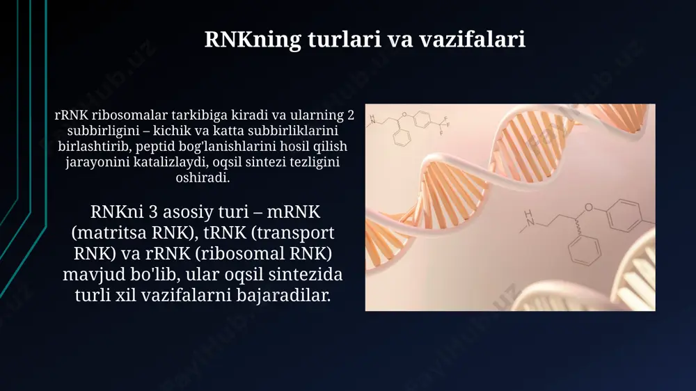 tasir mexanizmi (dnk, rnk fermentlariga nisbatan) - Page 5
