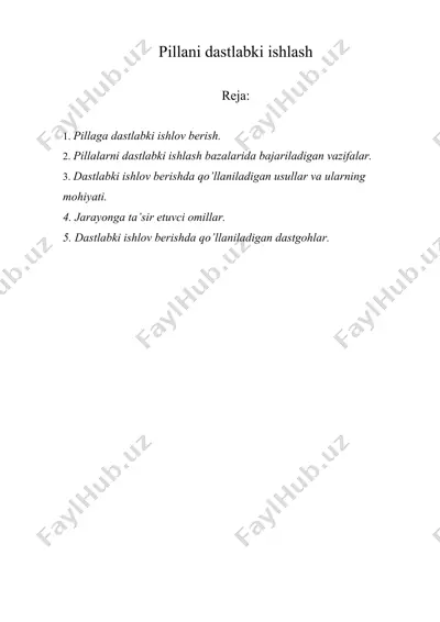 pillani dastlabki ishlash — DOCX