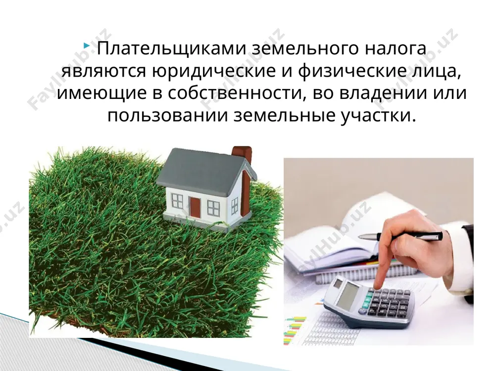 земельный налог узбекистан - Page 5