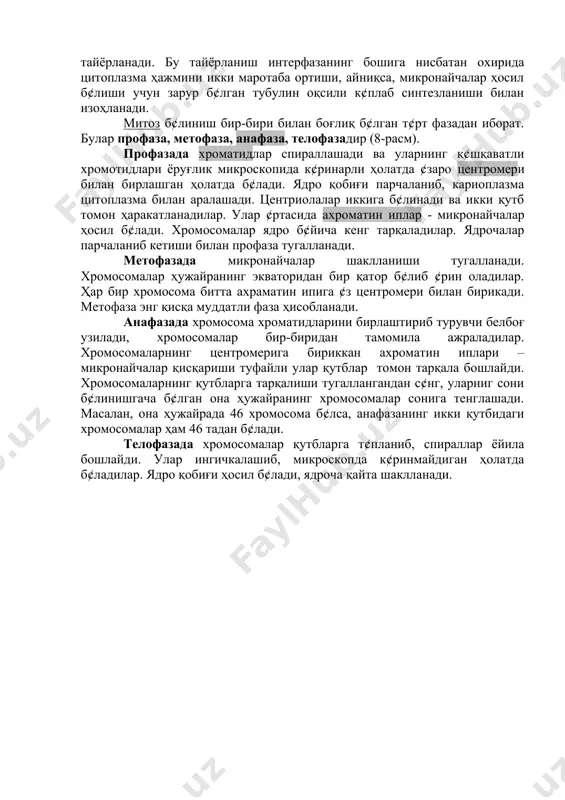 . хромосомаларнинг центромерига бириккан ахроматин иплари – микронайчалар қисқариши туфайли улар қутблар томон тарқала бошлайди. хромосомаларнинг қутбларга тарқалиши тугаллангандан с¢нг, уларниг сони б¢линишгача б¢лган она ҳужайранинг хромосомалар сонига тенглашади. масалан, она ҳужайрада 46 хромосома б¢лса, анафазанинг икки қутбидаги хромосомалар ҳам 46 тадан б¢лади. телофазада хромосомалар қутбларга т¢планиб, спираллар ёйила бошлайди. улар ингичкалашиб, микроскопда к¢ринмайдиган ҳолатда б¢ладилар. ядро қобиғи ҳосил б¢лади, ядроча қайта шаклланади. 8-расм. ҳужайранинг митоз б¢линиши. телофазанинг охирида цитоплазманинг иккига ажралиши кузатилади. бу жараён плазматик мембрана ¢ртасида ботиқлик пайдо б¢либ, аста-секин торайиши натижасида р¢й беради. шундай қилиб, митоз б¢линишда битта она хужайрадан иккита қиз хужайра ҳосил б¢лади. хромосомаларни ўрганиш тарихи одам хромосомаларини ¢рганиш xix асрнинг 80 йилларида бошланган. дастлаб, арнолод с¢нг флемминг микроскоп остида одам тана ҳужайраларида митоз б¢линишни кузатдилар. уларнинг келтирилган маълумотларига биноан одам тана ҳужайраларида 46,47,48,49 тадан хромосомалар учраши мумкин. бироқ 1923 йилга келиб, пойнтер, с¢нг бошқа олимлар одам соматик ҳужайраларида 48 хромосома мавжуд деган хулосага келдилар. …