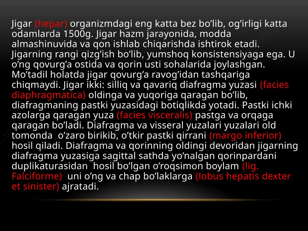 chegarasiga o’tib ketadi. jigarning pastki chegarasi o’ng x qovurg’aning oralig’idan chapga qarab o’ng qovurg’a rovog’i bo’ylab chap viii qovurg’a to’g’ayining vii qovurg’a to’g’ayiga birikkan joyigacha boradi. jigar o’rta ichak boshlang’ich entodermal epiteliyidan rivojlanadi. jigar kurtagi homila hayotining uchinchi haftasida o’rta ichak ventral devorida bo’rtma shaklida paydo bo’lib, uni jigar ko’rfozi deyiladi. bu bo’rtma dastlab umumiy bo’lib , so’ngra ikkiga: yuqori va pastki bo’rtmalarga bo’linadi. yuqori bo’rtmadan jigar nayi va jigarning bez to’qimasi rivojlansa, pastki bo’rtmadan o’t pufagi rivojlanadi. umumiy bo’rtma esa keyinchalik umumiy o’t yo’liga aylanib ketadi. yuqorigi bo’rtma juda tez o’sib, oshqozonning ventral tutqichi ichiga o’sib kiradi. va u bilan birikkan to’siqni ikkiga ajratadi. pastda oshqozon kichik egriligi bilan jigar o’rtasida o’roqsimon boylam hosil bo’ladi. jigar kurtagi shoxlanib jigarning bez to’qimasi ustunlari hosil bo’ladi. bu ustunlarni tuxum sarig’i tutqich venasi tarmoqlari o’raydi va jigar kurtagining qon bilan taminlanishi rivojlanganidan so’ng u tez o’sadi. image1.png image3.jpg image4.jpeg image5.jpg image6.jpg image7.jpg …