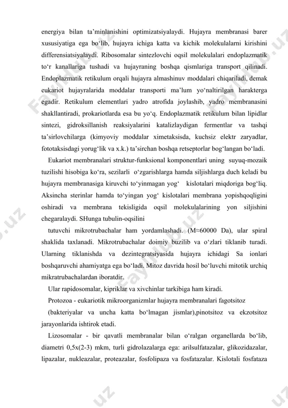 davrida hosil bo‘luvchi mitotik urchiq mikratrubachalardan iboratdir. ular rapidosomalar, kipriklar va xivchinlar tarkibiga ham kiradi. protozoa - eukariotik mikroorganizmlar hujayra membranalari fagotsitoz (bakteriyalar va uncha katta bo‘lmagan jismlar),pinotsitoz va ekzotsitoz jarayonlarida ishtirok etadi. lizosomalar - bir qavatli membranalar bilan o‘ralgan organellarda bo‘lib, diametri 0,5x(2-3) mkm, turli gidrolazalarga ega: arilsulfatazalar, glikozidazalar, lipazalar, nukleazalar, proteazalar, fosfolipaza va fosfatazalar. kislotali fosfataza marker fermentlaridan bo‘lib, fagosomalarda va segresomalarda ham to‘planadi. lizosomal fermentlar ikkilamchi lizosomalarda faollashadi. xitosomalar – zamburug‘ xitosomalari xitinsintetaza fermentiga ega bo‘lib, xitin mikrofibrillari sintezini katalizlaydi. xitosomalar mikrofibrillalarni hujayra devoriga o‘tkazish funksiyasini bajarib, u erda xitin makrofibrillalari yig‘iladi. ularda atf yo‘q (hujayra membranasidan farqli). xitosomalar qaytariluvchan assotsiyalanadi. ular subbirliklarining molekulyar massasi 500000 da ga yaqin. peroksisomalar - eukariotik hujayralarning bir membranali tuzilmasidir, undagi bioximik jarayonda, vodorod peroksidi asosiy oraliq mahsulot hisoblanadi peroksisomalar mitoxondriyalarga qaraganda kelib chiqishi ancha qadimiy bo‘lib, sayyoramiz atmosferasida molekulyar kislorodni hosil bo‘lishiga yaxshi moslashgandir, chunki ular oddiy tuzilishga ega bo‘lgan …