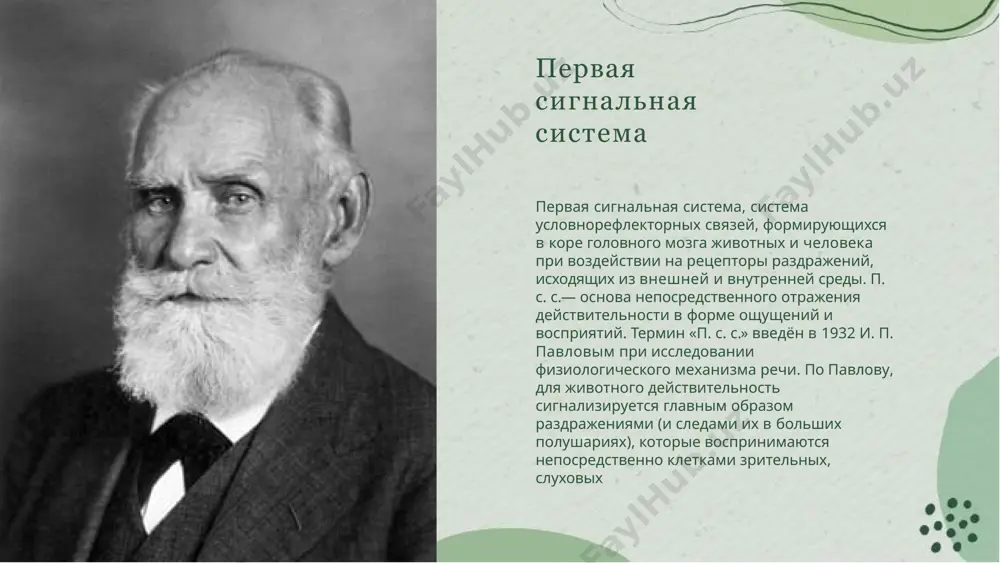 сигнальные системы - Page 3