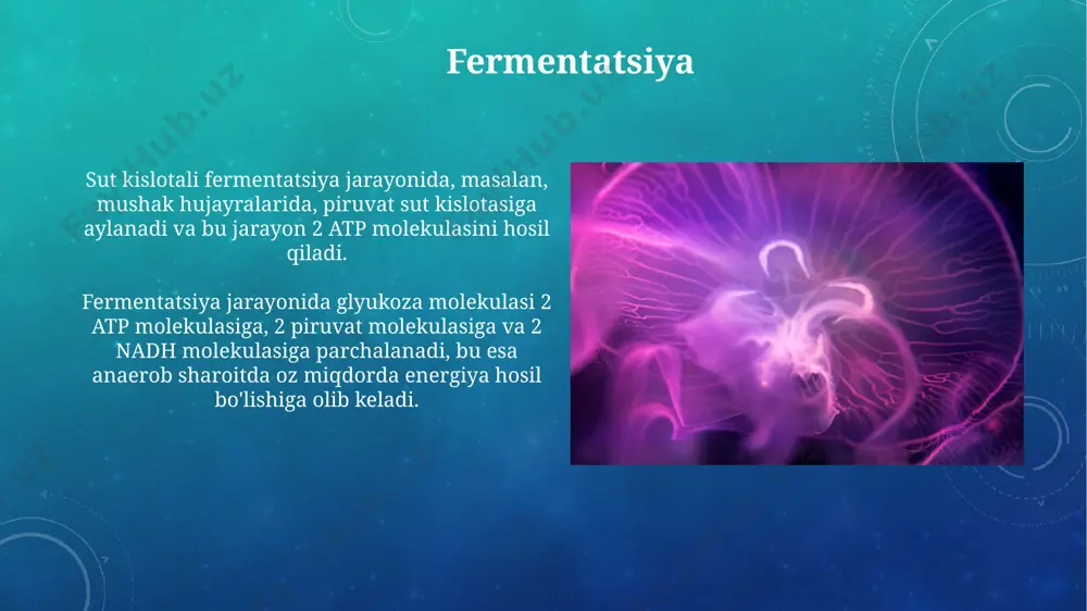 energiya almashinuvi, atf sintezini faollashtiruvchi fermentlarning allosterik regulyatsiyasi orqali, anaerob sharoitda 2-3 baravar kamayishi mumkin. energiya almashinuvi, sitrat tsiklining kalit fermentlari, masalan, sitrat sintazasining, inhibitorlari yoki aktivatorlari orqali, metabolik yo'llarni represssiya yoki derepresssiya qilish orqali sozlanadi. organizm tomonidan energiya ishlab chiqarishning umumiy ko'rinishi organizm atp molekulalari orqali taxminan 30-32 atp molekulasini hosil qiladi, glyukoza molekulasining to’liq oksidlanishidan 36-38 atp hosil bo’ladi. fotosintez jarayonida o’simliklar quyosh energiyasini kimyoviy energiyaga, ya’ni glyukoza shaklida, 6co2 + 6h2o → c6h12o6 + 6o2 reaksiyasi orqali aylantiradilar. e'tiboringiz uchun rahmat @taqdimot_robot image3.png image4.jpg image5.jpg image6.jpg image7.jpg image8.jpg image9.jpg image10.jpg image11.jpg image12.jpg image13.jpg image14.jpg image15.jpg image16.jpg image17.jpg image18.jpg image19.jpg image20.jpg