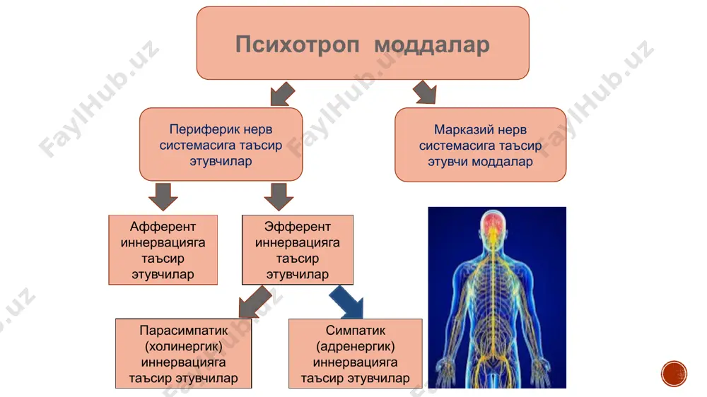 monium hyoscyamus niger н-холиномиметикларнинг асосий таъсирлари ва ишлатилиши ганглиоблокаторларнинг асосий таъсирлари ва ишлатилиши кураре миорелаксантларнинг асосий таъсири ва ишлатилиши кураресимон моддаларнинг скелет мушакларини фалажлаш босқичлари 1. бош ва бўйин 2. тана 3. кўкрак қафаси нафас мушаклари 4. қорин пресс мушаклари 5. диафрагма дори таъсири тугагандан кейин тикланиш тартиби 1. диафрагма 2. қорин пресс мушаклари 3. кўкрак қафаси нафас мушаклари 4. тана 5. бош ва бўйин image5.jpeg image6.png image7.png image8.jpeg image9.png image10.png image11.png image12.png image13.png image14.png image15.png image16.png image17.png image3.png image18.jpeg image19.png image20.jpeg image27.png image24.png image25.png image26.png image28.jpeg image29.jpeg image30.jpeg image31.png image32.png image33.jpeg image34.png image35.jpeg image36.jpeg image37.jpeg image38.jpeg image39.png image40.png image41.png image42.png image43.png image44.png image45.png image46.png image47.png image48.png image49.png image50.png image51.png image52.jpeg image53.jpeg image54.jpeg image55.png image56.png image57.png image58.png image59.png image60.png image61.png image62.png image63.png image64.png image65.png image66.png image2.png /docprops/thumbnail.jpeg