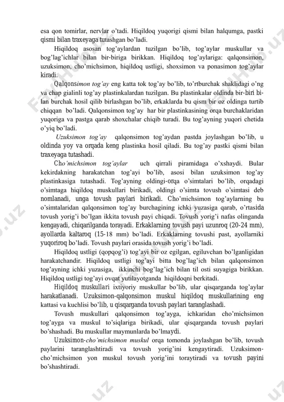 i. burun bo’shlig’i xoanalar orqali tomoqqa tutashadi. burunning shilliq qavati ko’p qon tomirlar, ko’p yadroli tukli epiteliy bilan qoplangan. bu qavatda shilimshiq ishlab chiqaruvchi bezlar bo’ladi. burunning shilliq qavati chang zarrachalarini tutib qoladi, havoni bir oz ilitib, namlab, o’pkaga utkazadi. shuning uchun, burun orqali nafas olish muhim ahamiyatga ega. shilliq qavatning yuqori qismida hid bilish analiz atorining reseptorlari bo’lib, bular vositasida hidlash funtksiyasi sodir bo’ladi. hiqildoq hiqildoq (larynx) halqumning oldida, bo’yinning oldingi qismida, v, vi bo’yin umurtqalari sohasida, til osti suyagining ostida joylashgan. hiqildoq oldindan muskullar, fassiya va qalqonsimon tog’ay bilan o’ralib turadi. yonidan esa qon tomirlar, nervlar o’tadi. hiqildoq yuqorigi qismi bilan halqumga, pastki qismi bilan traxeyaga tutashgan bo’ladi. hiqildoq asosan tog’aylardan tuzilgan bo’lib, tog’aylar muskullar va bog’lag’ichlar bilan bir-biriga birikkan. hiqildoq tog’aylariga: qalqonsimon, uzuksimon, cho’michsimon, hiqildoq ustligi, shoxsimon va ponasimon tog’aylar kiradi. qalqonsimon tog’ay eng katta tok tog’ay bo’lib, to’rtburchak shaklidagi o’ng va chap gialinli tog’ay plastinkalardan tuzilgan. …