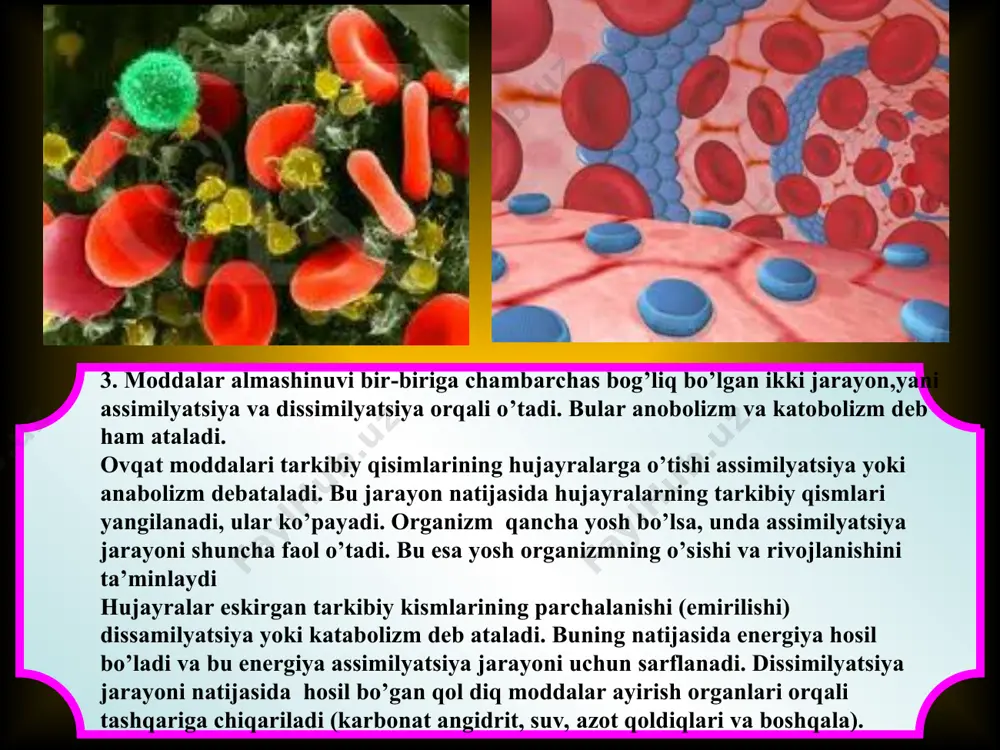 yog‘lar va uglevodlarning kislorod bilan oksidlanib parchalanishi natijasida energiya hosil bo‘ladi. bu energiya organizmda barcha fiziologik jarayonlarning to‘xtovsiz davom etishi uchun sarflanadi. jumladan, yurak, o‘pka, jigar, buyrak, me’da-ichaklar, tana muskullari hamda boshqa to‘qima va organlarning ish bajarishini, yoshlarda esa, o‘sish va rivojlanishning normal o‘tishini ta’minlaydi. energiya sarfi. odam organizmida kecha-kunduz davomida sarflanadigan energiya uch qismdan iborat: asosiy moddalar almashinuvini ta’minlash uchun sarflanadigan energiya. bu energiya ertalab – nahorda va kechasi odam qimirlamay yotgan vaqtda nafas olishi, yuragi, buyraklari, jigari va boshqa hayotiy muhim organlari normal ishlab turishini ta’minlash uchun sarflanadi. tana massasi 70 kg bo‘lgan odam uchun bir kecha-kunduzda asosiy moddalar almashinuvini ta’minlashga sarflanadigan energiya miqdori 1680 kkal ga teng. sog‘lom, katta yoshli odamda bir kecha-kunduzlik ovqatdan hosil bo‘ladigan energiya miqdori sarflanadigan energiya miqdoriga teng bo‘lishi kerak. organizmda hosil bo‘ladigan energiya miqdori sarflanadigan energiya miqdoriga nisbatan ko‘p bo‘lsa, odam semiradi. aksincha, iste’mol qilingan ovqatdan hosil bo‘ladigan energiya sarflanadigan energiyaga nisbatan …