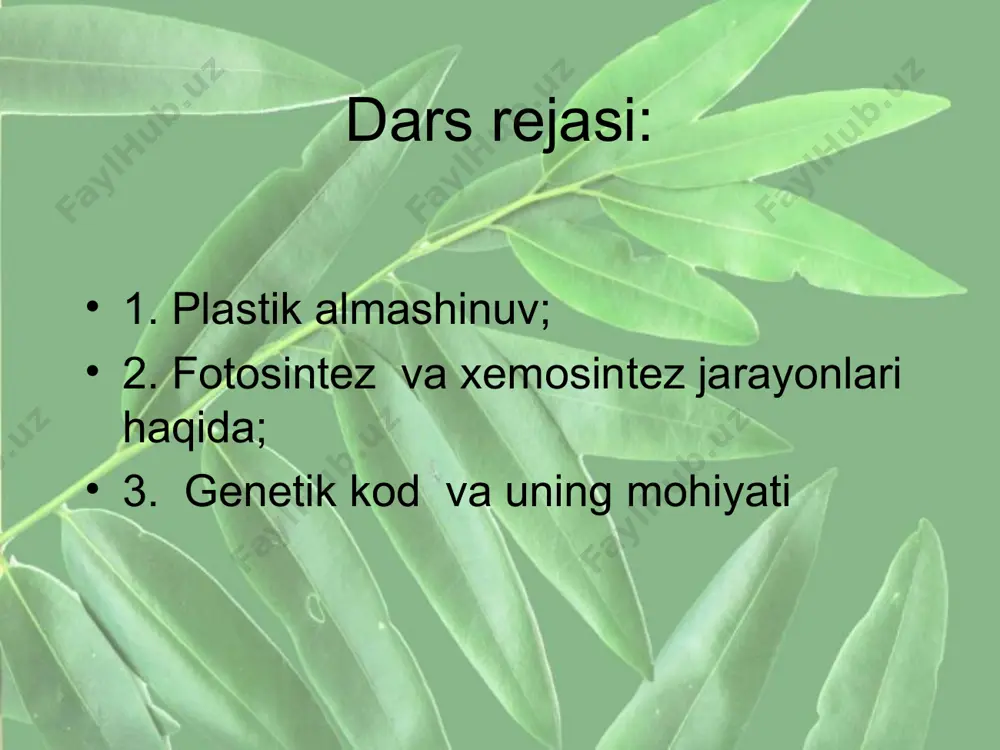 ari energiyasiga aylanadi, atf organik moddalarning sinteziga sarfl anadi. xemosintezlovchi bakteriyalarning bir necha turlari ma’lum. xematrof organizmlar temir bakteriyalari nitrifi kator bakteriyalar oltingugurt bakteriyalari vodorod bakteriyalari. genetik kod oqsillar tarkibiga kiruvchi har bir aminokislotaning nuklein kislotalarda ketma-ket joylashgan uchta nukleotid (triplet, kodon) yordamida ifodalanishi genetik kod deyiladi. dnk tarkibida 4 ta har xil nukleotid bo‘lishi nazarda tutilsa, 43=64 ta kod hosil bo‘ladi. bitta aminokislota 2, 3, 4, 6 ta kod yordamida kodlanar ekan. genetik kod 1962-yili amerika bioximiklari m. nirenberg va s. ochaolar tomonidan aniqlangan. genetik kod xususiyatlari 1. har bir aminokislotani nukleotidlar tripleti kodlaydi. 2. har bir triplet (kodon) bitta aminokislotani ifodalaydi. 3. bitta aminokislotani bir necha triplet kodlashi mumkin. 4. genetik kod barcha tirik organizmlar uchun universal. 5. genetik kodning 61 tasi «ma’noli», ya’ni ma’lum aminokislotalarni ifodalovchi tripletlardir. uga, uaa, uag aminokislotalarni ifodalamaydi. ular polipeptid zanjirining tugallanishini bildiruvchi terminator kodonlardir genetik kod jadval transkripsiya (rnk sintezi). bu jarayonda …