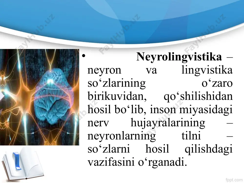 iq tushunadi. p. brok k.verniki tadqiqoti: 1874-y nemis psixiatri k.verniki chakka egri yarimshari shikastlanishi inson gapira oladi, ammo birovning nutqini tushunmaydi. miyaning vazifaviy assimetriyasi chap yarimshar miya – mantiqiy, ratsional tafakkur qilish o‘ng yarimshar miya – obrazli, emotsional tafakkur qilish miyaning vazifaviy assimetriyasi: uzoq davrlar chap yarimshar – asosiy deb qaralardi. zamonaviy bilim: insonlarda nutq zonasi turlicha, u yoki bu yarimsharda joylashishi mumkin. neyrolingvistika fan sifatida insonda sodir bo‘ladigan ikki xil kasallik asosida nutqiy buzulishlarning holati va turini o‘rganadi: epilepsiya afaziya epilepsiya (tajriba) yarimsharlar navbat bilan “yoqiladi”. epilepsiya – tutqanoq: tug`ma va orttirilgan bo`ladi. “yoqilgan” o‘ng yarimshar: fonemalarni farqlamaslik, ammo intonasiyani, musiqani qabul qila olish. so‘z boyligi kamayishi, mavhum otlarni tushunmaslik. matnni qayta aytib berish: qisqa, ammo ko‘p kalit so‘zlar. chap yarimshar “yoqilgan”da: fonemalarni, so‘zlarni farqlaydi, ammo intonatsiya, musiqa, erkak yoki ayol nutqini farqlamaydi. so‘z boyligi keskin ko‘payadi, ko‘p so‘zlash holati kuzatiladi. matnni qayta aytib berish: to‘liq, ammo kalit so‘larning …