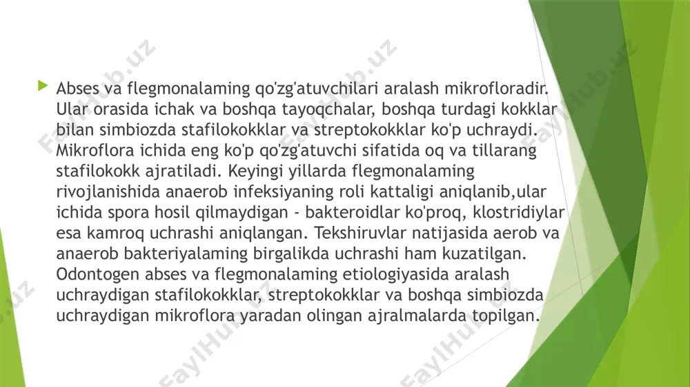 s kavagi va tish kanallaridagi buzilgan to'qima. yallig'lanish jarayonidan olib tekshirilgan ajralmalar shuni ko'rsatadiki, infeksiyaning patogenlik xususiyatlari ko'p xolatda past. shunga qaramay, ular chuqur va tarqalgan yallig'lanish chaqiradi. patologik anatomiyasi. yiringli yallig'lanish kasalliklari yuz-jag' va bo'yin sohalarida abses va flegmonalar teri osti, mushaklararo, fassiyalararo, mushak to'qimalarida kechadi. to'qimaga kirgan mikroblar qon tomirga yaqin va uning atrofida to'planadi, to'qimalarda yallig'lanish jarayoni rivojlanadi. yallig'lanish jarayonida quyidagi bosqichlar farqlanadi: 1-shish, 2-qizarish, 3- to'qimalarning yiringli erishi, 4-nekroz, 5-granulyatsiyali qobiq xosil qilib chegaralanish. kletchatkaning zardobli yallig'lanishi sellyulit (u ilgarigi gazak terminiga mos keladi), chegaralangan yiringli yallig'lanish jarayoni - abses va tarqalgan yiringli yallig'lanish jarayoni bo'lgan flegmona bilan farqlanadi. patologoanatomik jihatdan, abses rivojlanishida kletchatkada zardobli, zardobli-yiringli va keyinchalik devori granulyatsion to'qima bilan qoplangan bo'shliqqa o'xshash chegaralangan yiringli yallig'lanish tushuniladi. yiringli o'choqda nekrotik jarayonlar kamroq kuzatiladi. zardobli-yiringli yallig'lanishda va flegmonadagi shish bosqichi har xil darajaga bo'linadi. ayrim paytlarda tarqalgan zardobli, zardobli yiringli yallig'lanish ustun kelsa, boshqalarida (chirikli-nekrotik …