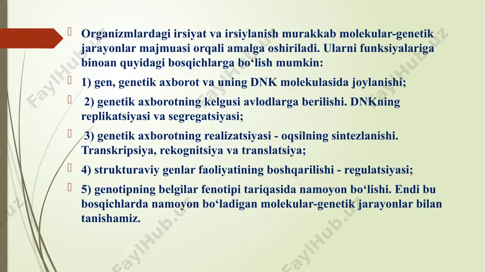 t) o‘mida urasil (u) o‘mashgan bo‘ladi. rnk molekulalarining (i-rnk, t-rnk, va r-rnk) strukturasi haqidagi mukammal ma’lumot keyingi mavzularda ulaming funksiyasi bilan bog‘liq holda beriladi. gen va genetik axborot gen organizmlar irsiyati va irsiylanishning molekular-genetik birligi — moddiy asosini tashkil etadi. gen — dnk molekulasi polinukleotid zanjirining ma’lum bo‘lagi bo‘lib, u ma’lum sondagi, m a’lum tartibda ketma-ket joylashgan nukleotidlardan tashkil topgan bo‘ladi. dnk da joylashgan gen tarkibidagi nukleotidlar tripletlar tarzida bo‘lib, ular kodogenlar deb ataladi. dnk molekulasi polinukleotid zanjirida joylashgan genetik axborotning ma’lum bir qismi transkripsiya jarayoni natijasida sintezlangan i-rnk molekulasiga aynan ko'chirilgan bo‘lib, uning tarkibidagi tripletlar kodonlar deb yuritiladi. kelgusi avlodga genetik axborot i-rnk orqali beriladi va u oqsil sintezini boshqaradi molekular genetikaning so‘nggi dalillarining ko‘rsatishicha, prokariot va eukariot organizmlar genlari o‘zaro strukturaviy tuzilishi jihatidan keskin farqlanadilar. prokariot organizmlarda gen strukturaviy yaxlit, butun bo‘ladi. bunda genlar erkin yalang‘och holatda bo‘luvchi dnk molekulasining uzluksiz bo'lagini tashkil etadi. ulaming genlarida genetik axborot …