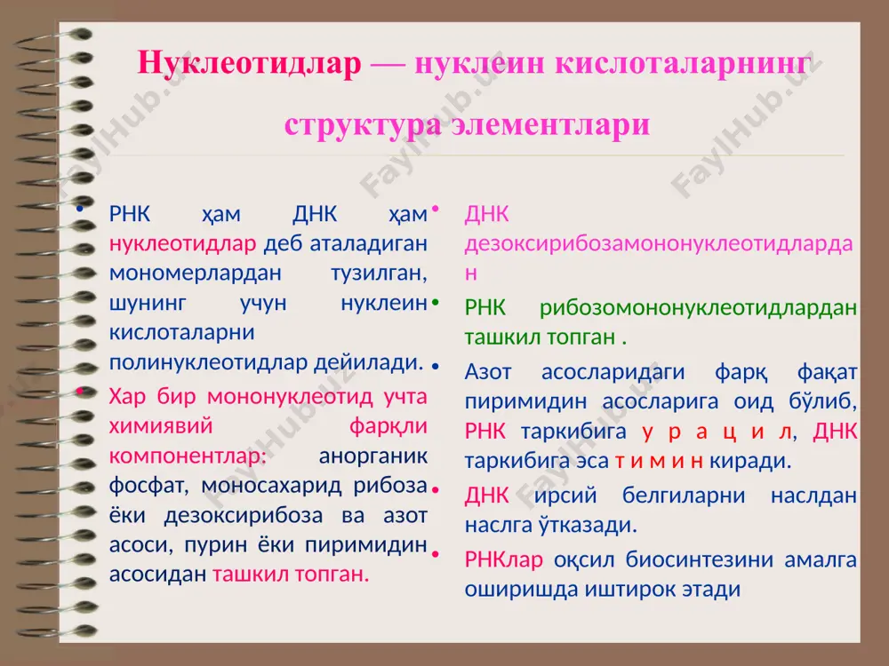 . www.arxiv.uz днкнинг структураси занжирлар бир бирига мос келиши учун бир жиякдаги пурин қаршисида иккинчи жиякда пиримидин асослари мос равишда жойлашади. бу комплементарлик принципи бўлиб, у муҳим умумбиологик аҳамиятга эга. бир занжирдаги аденин билан иккинчи занжирдаги тимин орасида 2та, гуанин билан цитозин орасида 3та водород боғлари ҳосил бўлади. днкнинг структураси хужайрада днк оқсил молекулалари билан бирикиб фазовий жойланиши унинг учламчи структураси дейилади. бундан ташқари, баъзи бактериал хужайраларда плазмидий деб аталадиган халқа шаклидаги цитоплазмада эркин яшайдиган днк молекулалари ҳам мавжуд. днкнинг таркиби ва структураси турли табиий манбалардан ажратиб олинган днқ ларнинг нуклеотид таркибини ўрганиш натижасида чаргафф қатор миқдорий қонуниятларни аниқлади. ҳозирги вақтда бу қонуниятлар чаргафф қоидаси деб юритилади: днқ молекуласидаги пурин асослари (а+г) моляр концентрациясининг йиғиндиси пиримидин асослари (ц+т) моляр концентрацияси йиғиндисига тенг; адениннинг моляр концентрацияси тиминникига, гуанинники цитозинникига тенг; днк занжиридаги 6-аминогруппали асослар миқдори 6-кето группали асослар миқдорига тенг, яъни аденин ва цитозин моляр концентрацияларининг йиғиндиси гуанин ва тимин моляр …