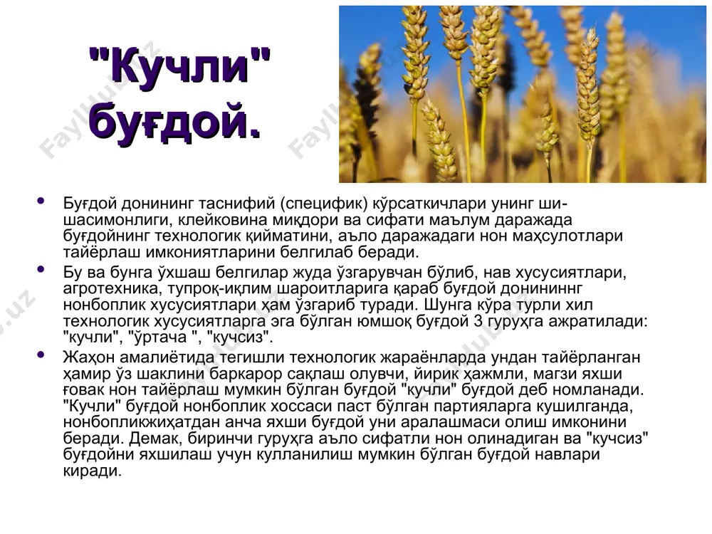 иллик ёки йил­лик ўсимлик бўлиб, юқорида кўрсатиб утганимизлек кузги ва баҳорги туралри мавжуд. hordeum туркумига кирувчи 30 хил яқин тур мавжуд бўлиб, эки сифатида экиб етиштириладиган арпа (hordeum sativum) нинг бир хил тури кенг тарқалган. бу тур одатда қилтиқли бўлиб, қилтиқсиз­лари ҳам учрайди, айрим ҳолларда эса қилтиқ ўринда пардасимон усимта фурка... ҳосил бўлади. бундай фуркатли... арпа номланади. экиладиган арпа 3 хил турчага бўлинади: а) кўп қаторли арпа (hordeum sativum vulgare); б) икки қаторли (hordeum sativum disticnum); в) оралик (hordeum sativum intermedium); арпа қатор белгиларига қараб қуйидагича гуруҳланади: 1) бошоқ зичлигига қараб: зич ва ғовак; 2) қилтиқлар мавжудлигига қараб: қилтиқли, қилтиқсиз; 3) қилтиқ хусусиятига кўра: силлик тишчали; 4) донда парда мавжудлигига қараб: қобиқдор очиқ донли. энг кўп экиладиган арпа турларига паллидум, нутанс, медиқум киради. арпанинг сифат кўрсаткичлари ва стандартлари. арпа донидан турли мақсадларда фойдаланиш ҳисобга олиб ар- пага 5 хил стандарт мавжуд: 1) озуқабоп - хашакбоп арпа; 2) ёрмабоп арпа; 3) …