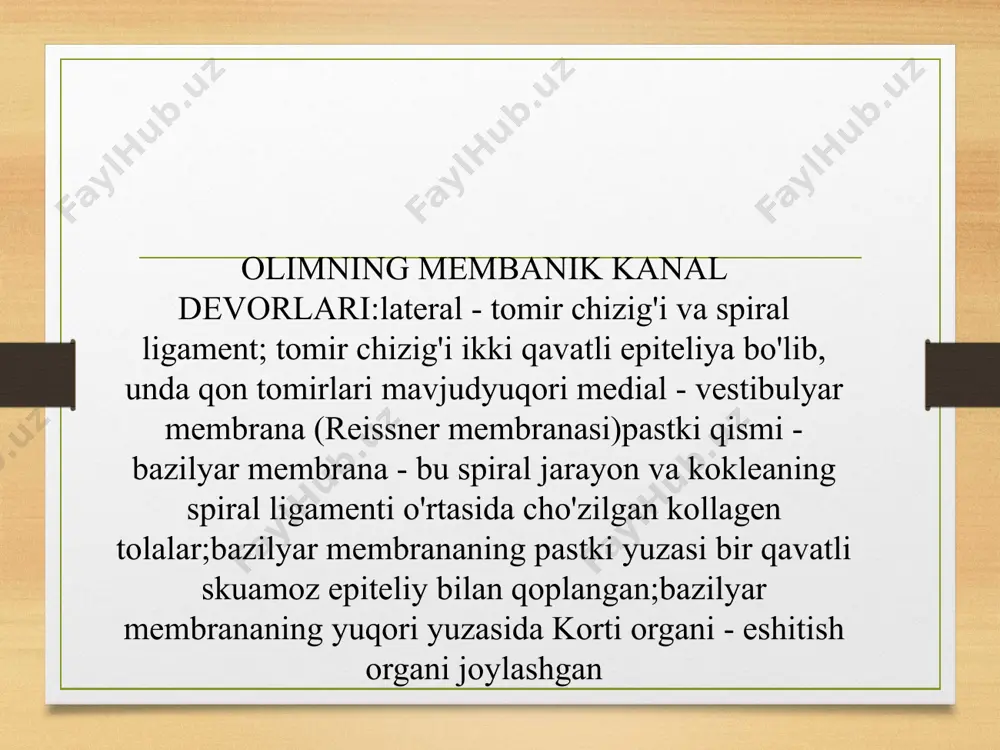 quloq gistologiyasi - Page 4
