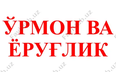 ўрмон ва ёруғлик — PPTX