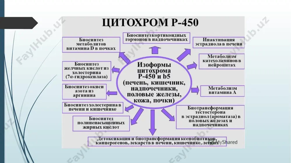oki atsetil guruhining biriktirilish nuqtasini hosil qiladi, bu esa preparatning detoksifikatsiyasiga olib keladi va uning chiqarilishini sezilarli darajada osonlashtiradi. sitokrom p450 (cyp450) p450 genlari tomonidan kodlangan fermentlar guruhi bo'lib, klinik amaliyotda ko'rilgan ko'pgina dorilarning metabolizmi uchun javobgardir . dorilarning 90% cyp3a5, cyp3a4, cyp2d6, cyp2c19, cyp2c9 va cyp1a2 tomonidan metabollanadi. cyp3a4 va cyp2d6 eng muhim fermentlardir polimorfizm - bu dorilarni metabolizatsiya qilish qobiliyatiga ega bo'lgan fermentlarni keltirib chiqaradigan genetik mutatsiyalar . ushbu genetik o'zgaruvchanliklar terapevtik javobning individual o'zgaruvchanligi va standart dozada berilgan barcha asosiy dorilar sinfiga toksiklik uchun javobgardir . cyp450 fermentlarining ifodalanishi populyatsiyalar orasida farq qiladi va dori metabolizmi va reaktsiyasiga katta ta'sir ko'rsatadi. masalan, cyp2d6 polimorfizmlari to'rt xil fenotipda ifodalanadi: metabolizatorlar yomon (pm) o'rta metabolizatorlar (im) keng tarqalgan metabolizatorlar (em) ultratez metabolizatorlar (um) propranolol (cyp2d6 tomonidan metabollangan dori) propranolol beta-bloker va cyp2d6 substrati hisoblanadi. metabolizatorlari zaif bo'lsa , propranololning metabolizmi sezilarli darajada kamayadi. natijada, propranololning yuqori plazma kontsentratsiyasi nojo'ya …