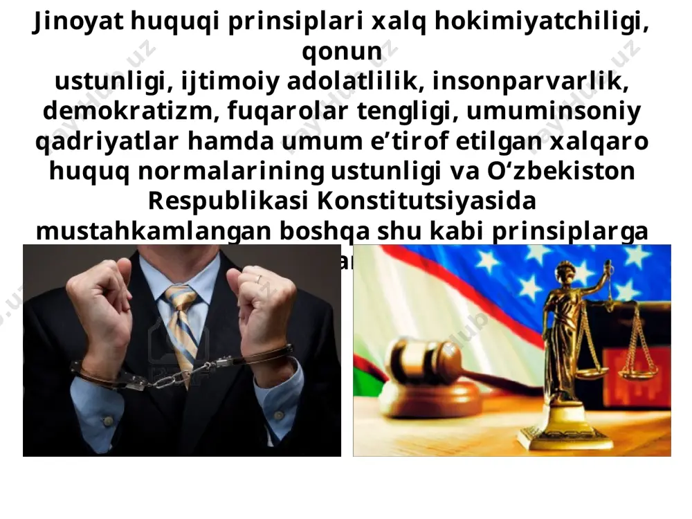 timoiy munosabat jinoyatning obyekti hisoblanishi mumkin. savol va topshiriqlar 1. aybsizlik prezumpsiyasi nima? fikringizni asoslang. 2. o‘zbekiston respublikasi jinoyat huquqining asosiy prinsiplarini tushuntiring. 3. jinoyat qonun hujjatlarining asosiy vazifalari nimadan iborat? 4. jinoiy huquq normalari o‘z mazmuniga ko‘ra necha qismga bo‘linadi va ularning vazifalari nimalardan iborat? image1.jpg image2.jpeg image3.jpeg image4.jpeg image5.png image6.jpeg image7.jpeg image8.jpeg image9.jpeg image10.jpeg image11.jpeg image12.png image13.jpeg