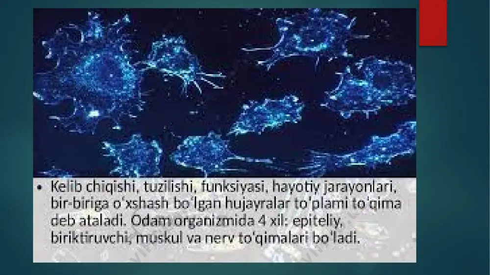 millarini ch. arr. genetika. bu va boshqa omillarning o. «ishi»dagi ishtirokini biokimyo, fiziologiya, biokibernetika va b. o'ziga xoslikni tahlil qiluvchi ekologiya alohida o'rin tutadi tirik organizmlarga xos bo'lgan yana bir xususiyat - qo'zg'aluvchanlik. organik tizimlar doimo ichki va tashqi o'zgarishlarga (ta'sirlarga) reaksiyaga kirishadi. inson tanasining qo'zg'aluvchanligiga kelsak, u mushak, asab, shuningdek bezlar to'qimalariga xos xususiyatlar bilan uzviy bog'liqdir. ushbu komponentlar mushaklarning qisqarishi, asab impulsining ketishi, shuningdek, turli moddalar (gormonlar, tupurik va boshqalar) ajralishidan keyin javob berishga turtki bo'lishi mumkin. va agar tirik organizm asab tizimidan mahrum bo'lsa? tirik organizmlarning tirnash xususiyati ko'rinishidagi xususiyatlari bu holda harakat bilan namoyon bo'ladi. misol uchun, protozoa tuz konsentratsiyasi juda yuqori bo'lgan eritmalarni qoldiradi. o'simliklarga kelsak, ular yorug'likni iloji boricha o'zlashtirish uchun kurtaklar o'rnini o'zgartirishga qodir. image6.png image7.png image8.png image9.png image10.png image11.png image12.png image2.png image3.png image4.png image5.png