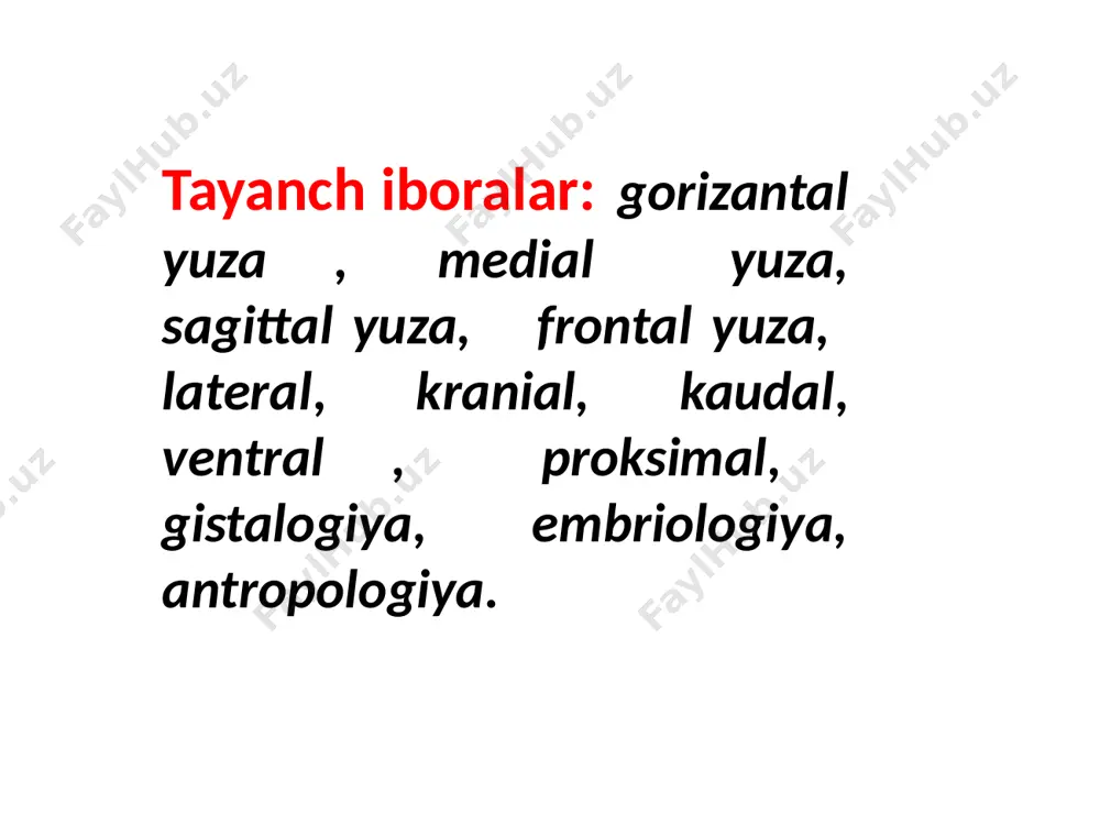 nega assefa alemaya university yosief tsige jimma university. in collaboration with the ethiopia public health training initiative, the carter center, the ethiopia ministry of health, and the ethiopia ministry of education 2003. 14 ) adolf faller., michael schuenke-the human body - “an introduction to structure and function” thiemestuttgart · new yorkhttp: //www.bestmedbook.com /2-бет cytology: - it is a branch of science concerned with a study of cells an organism as a whole can be understood through the collective activities & interactions of its cells. to know more about cell, we can divide the cell in to four principal parts: - plasma (cell) membrane: it is the outer lining, limiting membrane separating the cell internal parts from extra cellular materials & external environment. cytoplasm: cytoplasm is the substance that surrounds organelles and is located between the nucleus and plasma membrane. organelles are specialized portion of the cell with a characteristic shape …