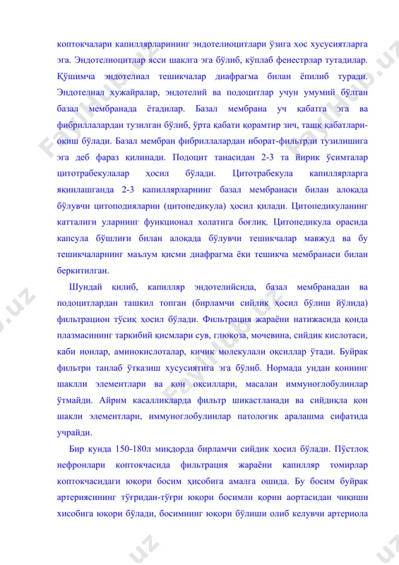 ида учрайди. бир кунда 150-180л миқдорда бирламчи сийдик ҳосил бўлади. пўстлоқ нефронлари коптокчасида фильтрация жараёни капилляр томирлар коптокчасидаги юқори босим ҳисобига амалга ошида. бу босим буйрак артериясининг тўғридан-тўғри юқори босимли қорин аортасидан чиқиши хисобига юқори бўлади, босимнинг юқори бўлиши олиб келувчи артериола диаметри олиб кетувчи артериола диаметридан катта бўлишига хам боғлиқ. шундай қилиб хосил бўлган бирламчи сийдик капиллярлар коптокчасидаги шумлянский - боумен капсуласи бўшлиғига ва у ердан нефрон проксимал қисмига ўтади. натижада фильтрация учун ҳам физиологик ҳам морфологик шароит яратилади. иккинчидан фенестрли эндотелий, ўтказувчан базал мембрана, тешикчаларга эга бўлган подоцитлар (улар фильтрацион тўсиқни ҳосил қилади бирламчи сийдик фильтрацияси учун морфологик асос бўлади. нефроннинг проксимал қисми эгри ва тўғри каналлардан (60-мкм) иборат. каналлар девори бир қаватли хошияли кубсимон эпителийдан тузилган. эпителиоцитларнинг хошияли юзаси глюкозанинг тўлиқ реабсорбциясидан иштирок этувчи ишқорий фосфатазанинг юқори активлигига эга. хужайра цитоплазмаси протеолитик ферментларга бой лизосомалар тутади. хужайралар пиноцитоз йўли билан бирламчи сийдиқлан оқсиларни сўриш ва уларни аминокислоталарага …