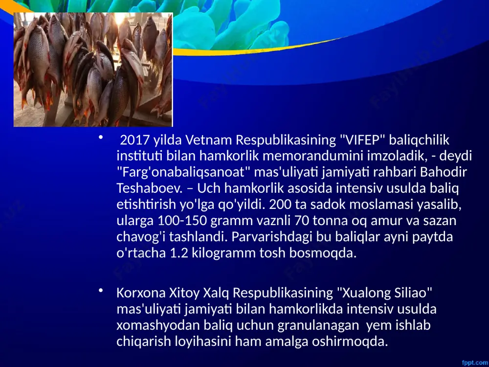 ugunga kelib ular o‘zbekiston iqlimiga moslashtirildi va juda yaxshi natijalar bermoqda jizzax viloyatida tashkil etilgan baliqchilik klasterining aholi xonadonlari bilan kooperatsiya asosida ishlash tajribasi har bir viloyatda joriy etiladi. bunda, baliqchilik xo‘jaliklari xonadon egalarini baliq yetishtirish bo‘yicha o‘qitishni tashkil etadi, ularga baliq yetishtirish uchun zarur bo‘lgan asbob-uskunalar, baliq chavoqlari, omuxta yem, mineral o‘g‘itlarni yetkazib beradi hamda ular tomonidan yetishtirilgan baliqni kelishilgan narxlarda sotib oladi, xonadon egalari o‘z xonadonlarida intensiv usulda yetishtirilgan baliqlarni kelishilgan narxlarda ularga sotadi. 2022 yil 1 fevraldan fuqarolar o‘zini o‘zi band qilgan shaxs sifatida o‘z xonadonida baliq yetishtirishni yo‘lga qo‘yishi mumkin. 2022 yil 1 fevraldan 2025 yil 1 yanvargacha baliqchilikni intensivlashtirish uchun zarur bo‘lgan asbob-uskunalar va texnologiyalar (aerator, basseyn, avtokormushka, uzv) hamda qayta ishlash uskunalarini ishlab chiqarishni yo‘lga qo‘ygan, biroq daromadining 80 foizidan ortig‘ini ushbu uskunalarni ishlab chiqarishdan oladigan sub’yektlar uchun foyda solig‘i (tijorat banklarida joylashtirilgan mablag‘lardan olingan foizlardan tashqari), yuridik shaxslardan olinadigan yer solig‘i, yuridik shaxslarning …