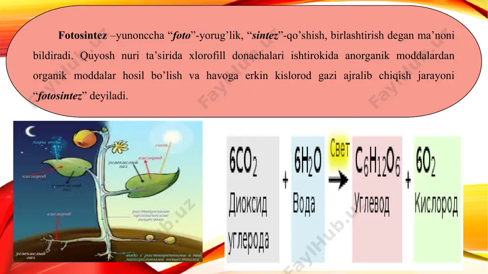 atmosfera havosi shuncha toza bo’ladi. afsuski, oxirgi yillarda fan-texnika rivoji va inson faoliyati takomillashuvi natijasida o’simlik qoplamiga jiddiy zarar yetmoqda. insonlarning tabiatga e’tiborsizligi natijasida o’rmonlar maydoni qisqarmoqda. buning natijasida atmosfera havosi ham ancha ifloslandi. insoniyat tabiatga yetarlicha zarar yetkazdi. buning oqibatida insonlar orasida turli kasalliklar kelib chiqmoqda. ona tabiatni asrash o’z sog’ligimizga ham e’tibordir. *o’rmonlarni ko’paytirish; *xonadonlarda xushmanzara o’simlik navlarini parvarishlash; *ekskursiya va sayohatga chiqqanda, to’liq ma’lumotga ega bo’lmagan o’simliklarga tegmaslik; *mavjud o’rmonlarni kesmaslik; *daraxtlarga shikast yetkazmaslik; e’tiboringiz uchun rahmat!!!