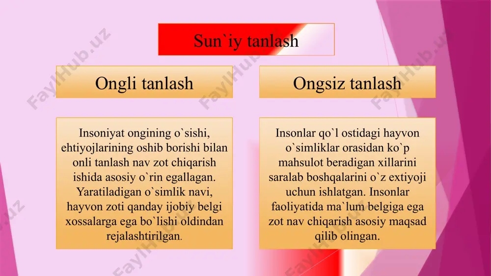 ch. darvinning evolyutsion g`oyalari mavzusida dars taqdimoti - Page 5
