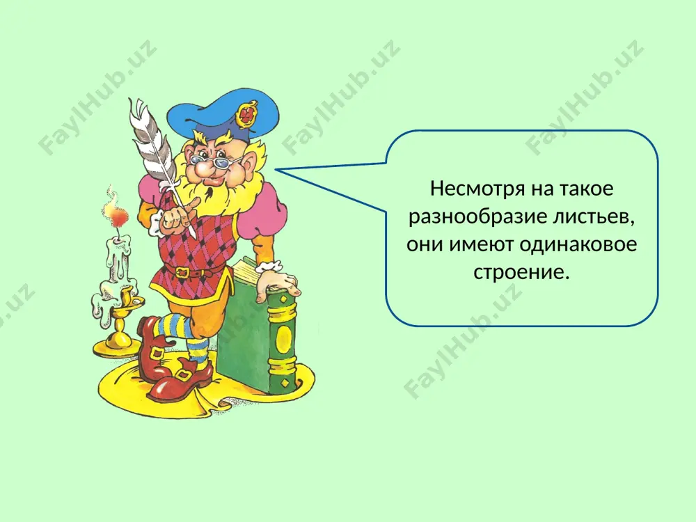 vneshnee stroenie lista - Page 5
